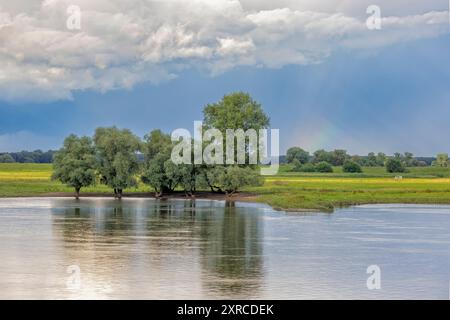 Herannahender Sturm über die Elbe am Radegaster Haken bei Bleckede Stockfoto