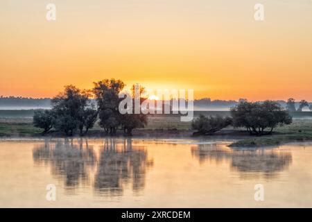 Morgenstimmung am Radegaster Haken in der Elbaue in Niedersachsen Stockfoto