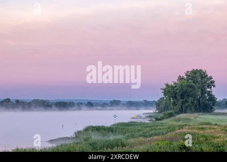 Morgenstimmung am Radegaster Haken in der Elbtalaue in Niedersachsen Stockfoto