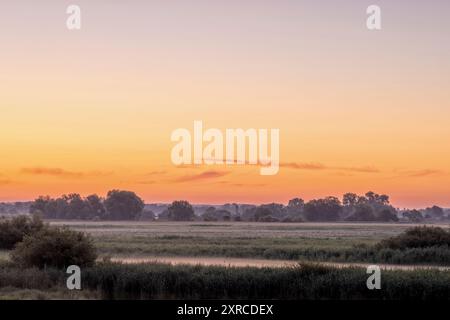 Morgenstimmung im Elbvorland bei Brackede/Bleckede Stockfoto