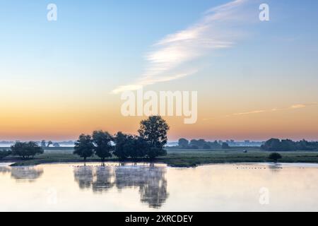 Morgenstimmung am Radegaster Haken in der Elbtalaue in Niedersachsen Stockfoto