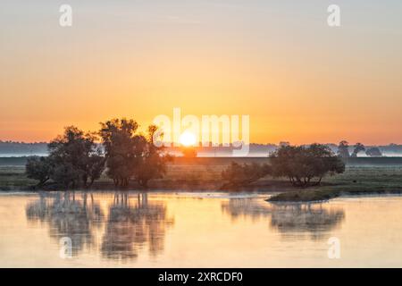 Morgenstimmung am Radegaster Haken in der Elbtalaue in Niedersachsen Stockfoto