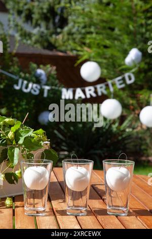 Weiße Äpfel im Glas neben einem Topf mit Ranken von Bierhopfen auf einem braunen Holztisch bei Sonnenschein im Garten, Vorbereitung und Dekoration für Stockfoto