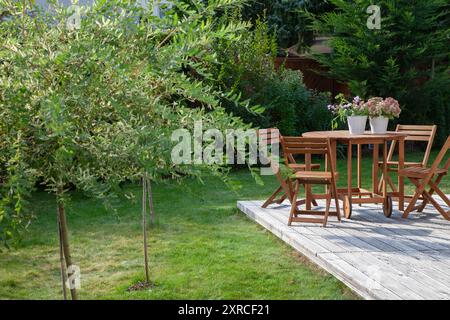 Gartenmöbel auf einer Holzterrasse im letzten Sonnenlicht des Tages, Sitzen in der Abendsonne im grünen Garten im Spätsommer, eine kleine Weide im Vordergrund Stockfoto