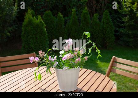 Auf einem Holztisch im Garten steht ein weißer Blumentopf mit frischen weißen und rosa Blüten, Blumenarrangement im Abendsonnenlicht im Spätsommer Stockfoto