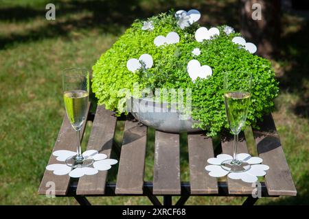 Zwei Sektgläser gefüllt mit Sekt stehen auf einem Holztisch vor einer grünen Pflanzung in einer grauen Metallschale, dekoriert mit weißen Papierherzen für eine Hochzeit im Garten, Hochzeitsdekoration im Sommer Stockfoto