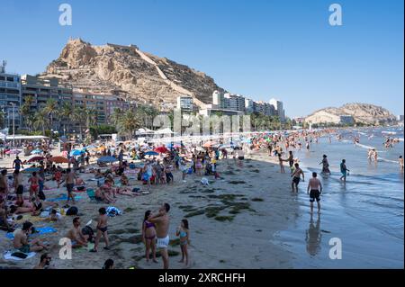 Alicante, Spanien. August 2024. Die Leute sonnen sich und schwimmen am Strand El Postiguet in Alicante. (Foto: Miguel Candela/SOPA Images/SIPA USA) Credit: SIPA USA/Alamy Live News Stockfoto