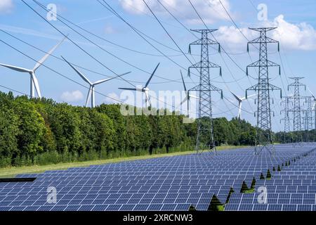 Hochspannungsleitungs Trasse, der Platz darunter wird für einen über 5 km langen Solarpark genutzt, dahinter ein Windpark, im Hafengebiet von Vlissingen-Oost, Niederlande, PV und Windpark *** Hochspannungsleitung, der darunter liegende Raum wird für einen über 5 km langen Solarpark genutzt, dahinter ein Windpark, dahinter ein Windpark, im Hafengebiet von Vlissingen Oost, Niederlande, PV und Windpark Stockfoto