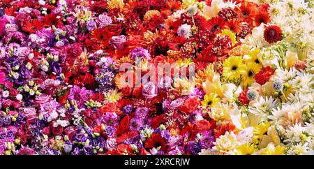 Buntes Blumenarrangement mit mehrfarbigen Blumen. Muttertag, Valentinstag, Geburtstagsfeier Konzept. Draufsicht, Banner Stockfoto