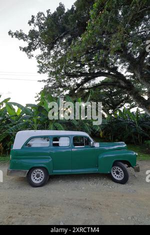 599 Weißdach grünes amerikanisches klassisches Nutzfahrzeug (Ford von 1947), das bei Sonnenuntergang am Playa Manglito Beach auf Passagiere wartet. Baracoa-Kuba. Stockfoto