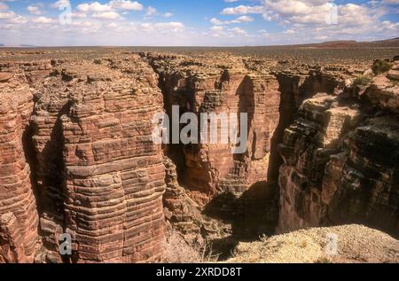 Blick auf den Little Colorado River Gorge Navajo Tribal Park, der sich weit unterhalb des Little Colorado River in Richtung Colorado im Grand Canyon schlängelt. Stockfoto