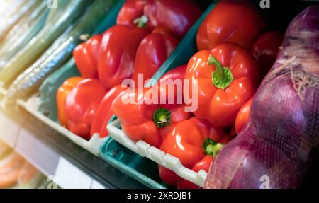 Gemüse im Lebensmittelbereich, das Regale von Supermarktprodukten mit verschiedenen frischen Gemüsesorten, einschließlich Paprika, Zwiebeln und Gurken, zeigt. Stockfoto