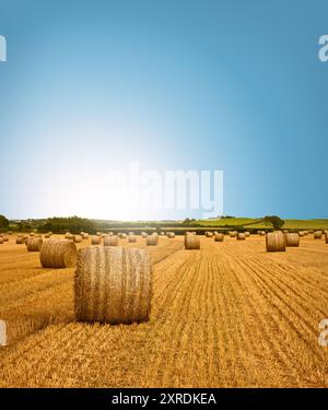 Lebendige Szene mit frisch geerntetem Ackerland mit einer Reihe von Heuballen. Begleitet von einem stärkenden Sonnenaufgang mit wunderschön gesättigten, akzentuierten Farben. Stockfoto