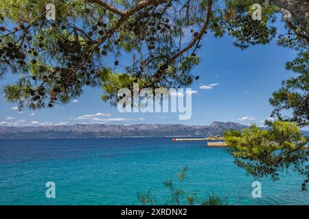 Blaues klares Wasser Adriaküste von Kroatien Peljesac Halbinsel Trpanj Stockfoto