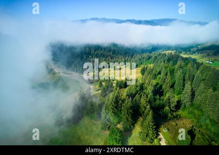 Atemberaubender Blick aus der Vogelperspektive auf die Berglandschaft mit üppigem Grün und hoch aufragenden Bäumen. Nebel rollt teilweise die Szene ab und fügt ätherische, traumhafte Qualität hinzu. Stockfoto