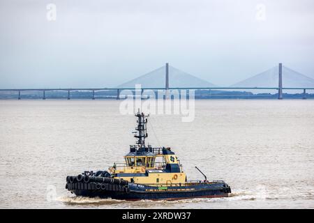 Schlepper wartet auf die Ankunft des Massengutschiffs Etron, der sich dem Battery Point nähert Stockfoto