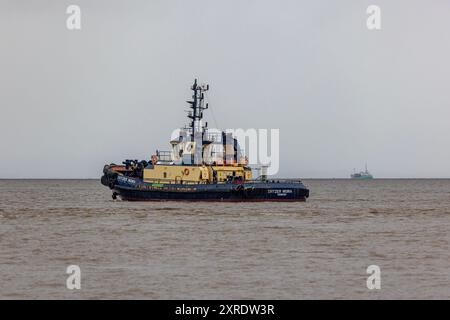 Schlepper wartet auf die Ankunft des Massengutschiffs Etron, der sich dem Battery Point nähert Stockfoto