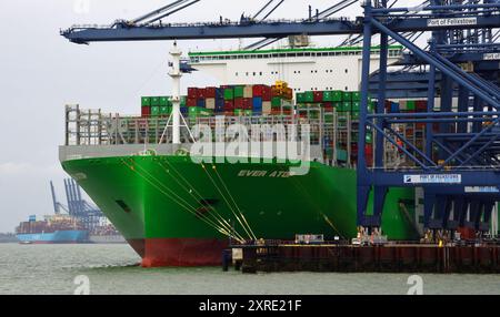 Großes Containerschiff „immer auf dem Dach“, das im Hafen von Felixstowe entladen wird Stockfoto