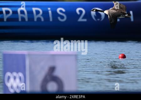 Vaires Sur Marne, Frankreich. August 2024. Olympische Spiele, Paris 2024, Kajak, eine Kanadier-Gans fliegt über dem Wasser. Quelle: Sebastian Kahnert/dpa/Alamy Live News Stockfoto