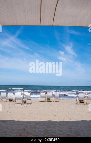 Strand Graal Müritz Deutschland im Sommer 2024 aufgestellte Liegestühle am Strand Graal Müritz bei Rostock. *** Strand Graal Müritz Deutschland Liegestühle am Strand Graal Müritz bei Rostock im Sommer 2024 Stockfoto