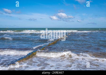 Strand Graal Müritz Deutschland im Sommer 2024: Buhnen zur Stromregelung in der Ostsee von Graal Müritz bei Rostock. *** Strand Graal Müritz Deutschland im Sommer 2024 Groynes für aktuelle Regulierung in der Ostsee bei Graal Müritz bei Rostock Stockfoto