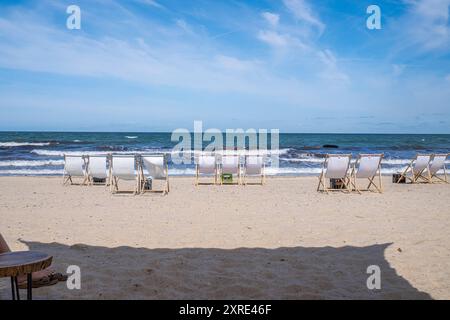 Strand Graal Müritz Deutschland im Sommer 2024 aufgestellte Liegestühle am Strand Graal Müritz bei Rostock. *** Strand Graal Müritz Deutschland Liegestühle am Strand Graal Müritz bei Rostock im Sommer 2024 Stockfoto