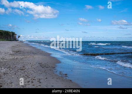 Strand Graal Müritz Deutschland im Sommer 2024 einsamer Strand Graal Müritz bei Rostock mit Buhnen zur Stromregelung im Wasser. *** Strand Graal Müritz Deutschland im Sommer 2024 abgeschiedener Strand Graal Müritz bei Rostock mit Räuchern zur Regulierung der Strömung im Wasser Stockfoto