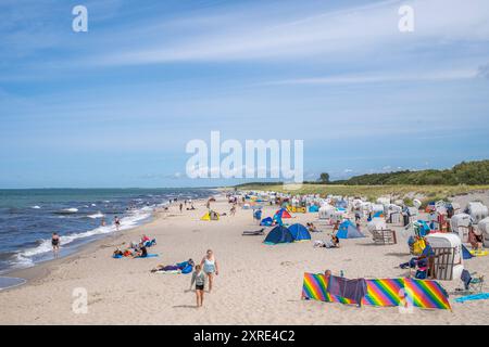 Ostseestrand Graal-Müritz Deutschland im Sommer 2024 Strandkörbe und bunte Windstopper am Strand Graal Müritz bei Rostock. *** Graal Müritz Ostseestrand Deutschland im Sommer 2024 Liegestühle und bunte Windstopper am Graal Müritz Strand bei Rostock Stockfoto