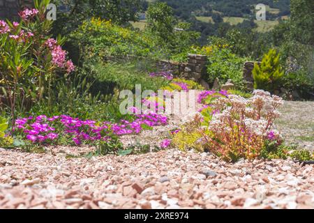 Blick aus dem niedrigen Winkel auf einer Schotterstraße mit Blumen, die in den Wald führen. Schwindende Perspektive. Selektiver Fokus. Kopierbereich. Stockfoto