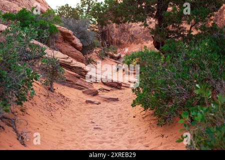 Sandy Terrain auf dem Devils Garden Trail im Arches National Park, Utah Stockfoto