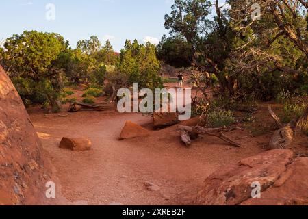 Sandy Terrain auf dem Devils Garden Trail im Arches National Park, Utah Stockfoto