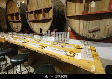 Weinprobe Tisch mit Weingläsern und Speisen; Weinkeller, Casa Madero Weingut, Mexiko Stockfoto