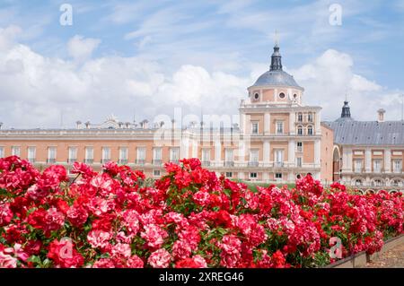 Königspalast und roten Blüten. Aranjuez, Madrid-Segovia, Spanien. Stockfoto