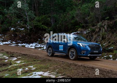 Heyfield, Victoria, Australien. August 2024. Der ARC-Sicherheitsdelegierte, der am Samstag bei der Middle of Everywhere Gippsland Rally 2024 den Kurs vor dem Wettbewerb durchläuft. (Kreditbild: © James Forrester/ZUMA Press Wire/Alamy Live News) NUR REDAKTIONELLE VERWENDUNG! Nicht für kommerzielle ZWECKE! Stockfoto