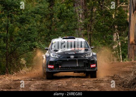 Heyfield, Victoria, Australien. August 2024. LEWIS BATES & ANTHONY MCLOUGHLIN (3) navigieren am Samstag bei der Middle of Everywhere Gippsland Rally 2024 durch den nassen und schlammigen Abschnitt der SS3. (Kreditbild: © James Forrester/ZUMA Press Wire/Alamy Live News) NUR REDAKTIONELLE VERWENDUNG! Nicht für kommerzielle ZWECKE! Stockfoto