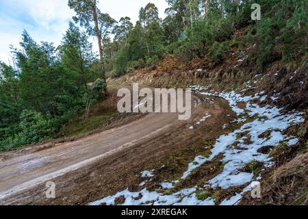 Heyfield, Victoria, Australien. August 2024. Restschnee kann am Samstag bei der Middle of Everywhere Gippsland Rally 2024 auf SS3/SS7 beobachtet werden. (Kreditbild: © James Forrester/ZUMA Press Wire/Alamy Live News) NUR REDAKTIONELLE VERWENDUNG! Nicht für kommerzielle ZWECKE! Stockfoto