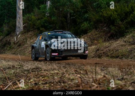 Heyfield, Victoria, Australien. August 2024. JAMIE LUFF & BRAD LUFF (10) in SS3 am Samstag bei der Middle of Everywhere Gippsland Rally 2024. (Kreditbild: © James Forrester/ZUMA Press Wire/Alamy Live News) NUR REDAKTIONELLE VERWENDUNG! Nicht für kommerzielle ZWECKE! Stockfoto