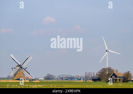 Moderne Windmühle für erneuerbare Energien auf landwirtschaftlichen Flächen zusammen mit einer typischen alten Windmühle. Niederlande. Stockfoto