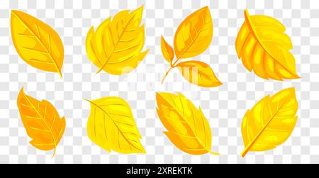 Hellgelbe Herbstblätter in verschiedenen Formen und Größen, dargestellt auf transparentem Hintergrund. Das Konzept des Herbstblattes und des jahreszeitlichen Wandels. Vektor Stock Vektor