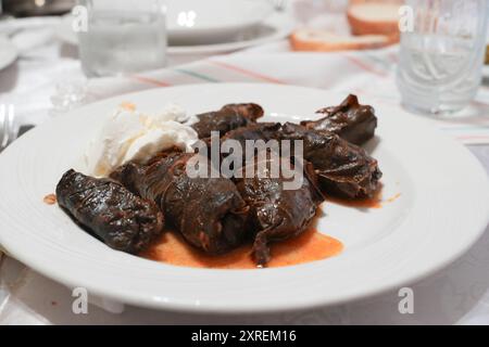 Sarmale in Traubenblättern, traditionelles rumänisches Gericht in Tulcea Stockfoto