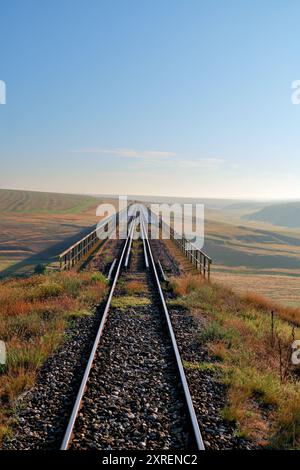 Eisenbahnbrücke durch die Landschaft Südrumäniens - Natural Look vertikal Stockfoto