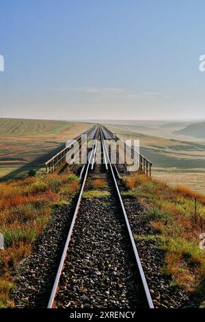 Eisenbahnbrücke durch die Landschaft Südrumäniens - coole Töne vertikal Stockfoto