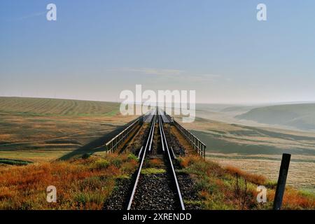 Eisenbahnbrücke durch die Landschaft Südrumäniens - kühle Töne Stockfoto