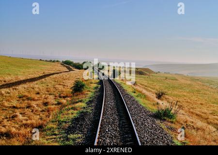 Eisenbahngleise durch die Landschaft Südrumäniens - kühle Töne Stockfoto