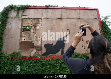 London, Großbritannien. August 2024. Die Leute machen Fotos von einem sechsten neuen Wandbild des Street-Künstlers Banksy, das einen Tiger zeigt, der seinen Rücken auf einem Brett in Cricklewood streckt. Quelle: Justin Ng/Alamy Live News Stockfoto