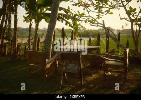 Ein rustikales Möbel-Set im Freien mit einem massiven Holzstuhl und Tisch, mit Blick auf die Reisfelder, Frangipani-Baum, Kokospalme, Bananenbaum, Stockfoto