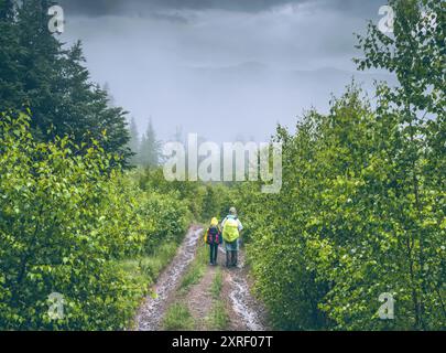 Zwei Wanderer auf einem Pfad durch den Wald in den Bergen an regnerischen Nebeltagen. Rückansicht von zwei Wanderern Mann und Teenager mit Rucksäcken, die auf Vorderhöhlen laufen Stockfoto