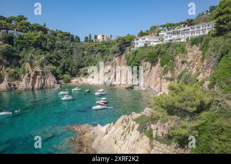 Blanes, Spanien - 10. August 2024: Blick auf Cala Forcanera vom Botanischen Garten Marimurta, Costa Brava, Katalonien Stockfoto