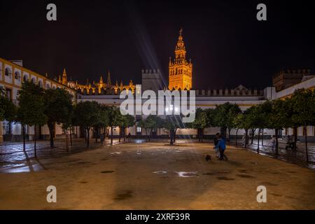 Stadt Sevilla in Andalusien, Spanien. Patio de Banderas Platz des Alcazar Königspalastes bei Nacht mit La Giralda Turm der Kathedrale von Sevilla über der WA Stockfoto