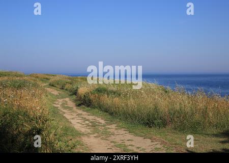 Küstenwanderweg (GR340) auf La Pointe du Cardinal, Belle Ile en Mer, Bretagne, Frankreich Stockfoto